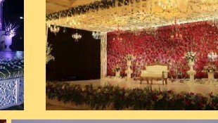Reception Floral Wall Stage - Maple Roots Villa Udaipur