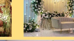 Greenery Arch Stage - Maple Roots Villa Udaipur